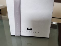 -BLACKSWAN黑天鹅(环球店)