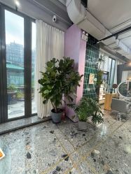 -MaisonFL·美颂法式专业美发艺术沙龙