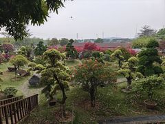 -盈香心动乐园