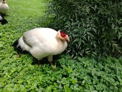 -昆明动物园