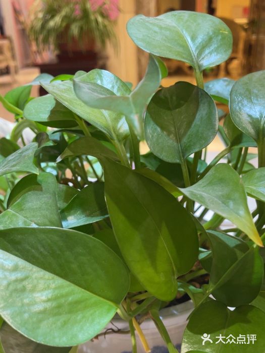 北京俪婴妇产医院(朝阳大悦城店)图片