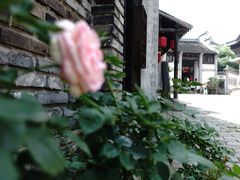 -忆秦园小笼包(惠山古镇总店)