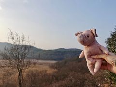 -石塘人家