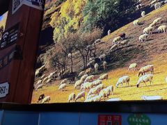 -牛犇炭火烤肉·鲜切烤肉(承德总店)