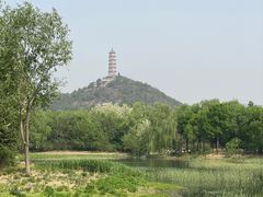 -北坞公园