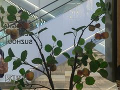 -Dragonfly悠庭·按摩Spa(静安嘉里中心店)