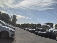 -周浦花海-停车场