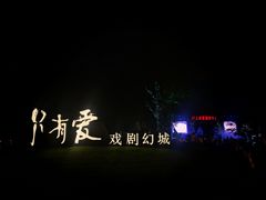 -荷兰花海