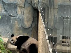 -泉州海丝野生动物世界