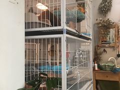 -小时光咖啡馆(北锣鼓巷店)