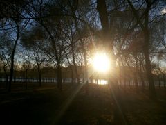 android_upload_pic-北京东方普罗旺斯薰衣草庄园