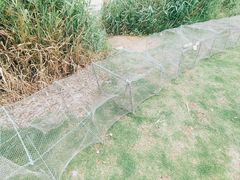 -琅岐红光湖公园
