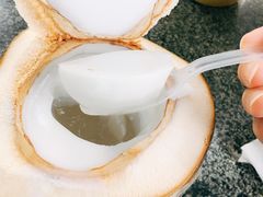 -100蛋泥浆浴