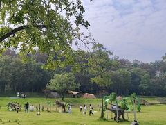-黄陂区野村谷景区