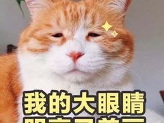 -PETIT PARIS 小巴黎(凯德1818店)