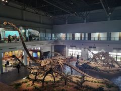 -自贡恐龙博物馆