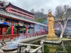 -黔灵山公园