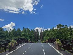 -东平国家森林公园