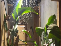 -邈墨茶馆(江南星座1店)