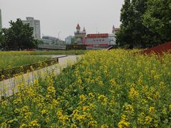 -BHG生活超市(安贞店)