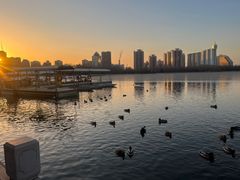 -莲花池公园