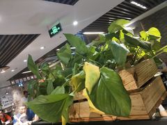 -八合里潮汕鲜牛肉火锅(深圳海岸城店)