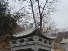 -白水寺森林公园
