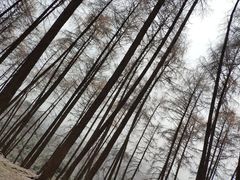 -硗碛藏寨·神木垒景区