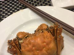 -印象高密·凤都国际大酒店