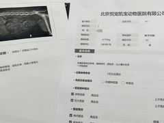 -悦宠凯宝动物医院·牙科·皮肤科(朝阳北路店)