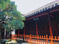 -水绘园