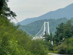 -酒仙湖景区