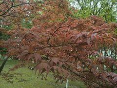 -白塘生态植物园