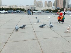 -大连人民广场