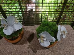 -外婆家(杭州马塍店·杭帮菜名店)