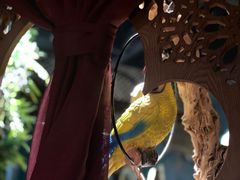 -楼兰新疆主题餐厅(苏州中心店)