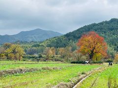 -塔川景区