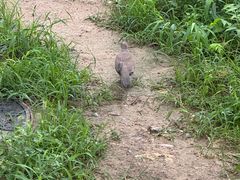 -回龙观体育文化公园