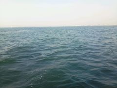 -海豚湾扬帆出海帆船游艇
