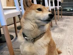-小时光咖啡馆(北锣鼓巷店)