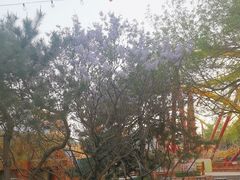 -北京欢乐谷