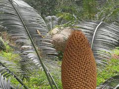 -华南国家植物园-售票处