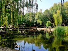 -玲珑塔公园