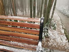 -缙云山景区