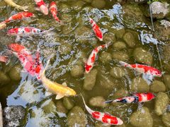 -罗红摄影艺术馆