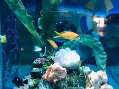 -太平洋海底世界