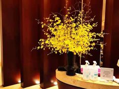 -铭轩中餐厅·海南菜·粤菜(亚龙湾瑞吉店)