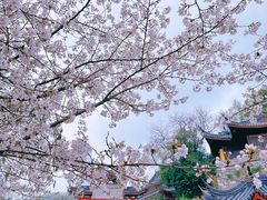 -鸡鸣寺