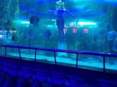 -大明湖海底世界