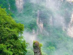 -王莽岭风景区